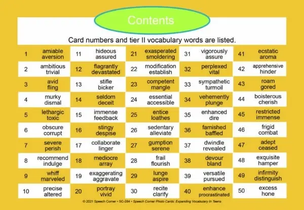 Expanding Vocabulary in Teens - Speech Corner Photo Cards - Image 2