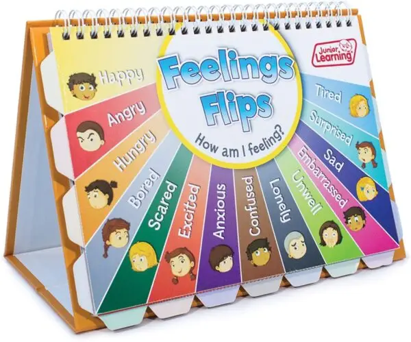 Feelings Flips - Image 2