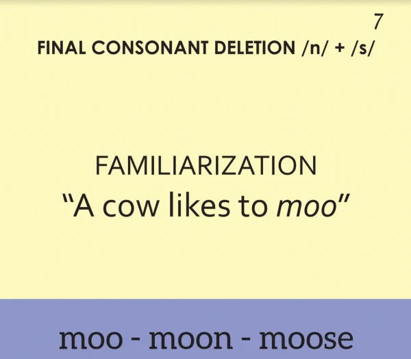 Bjorem Minimal Pairs: Final Consonant Deletion - Image 6