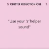 Bjorem Minimal Pairs: S Cluster Reduction - Image 5