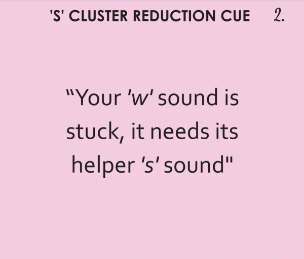 Bjorem Minimal Pairs: S Cluster Reduction - Image 7