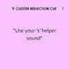 Bjorem Minimal Pairs: S Cluster Reduction - Image 12