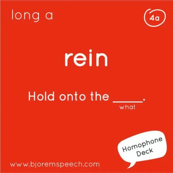 Bjorem Spelling with Homophones - Image 2