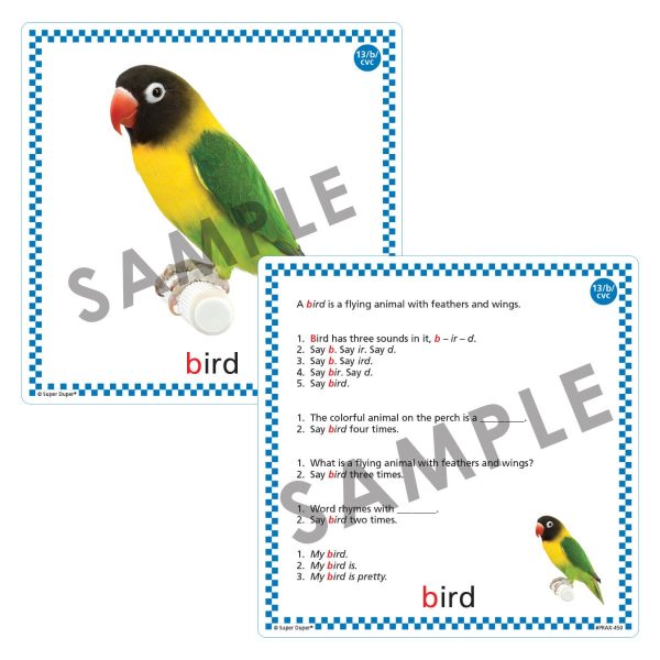 Webber Big Apraxia Photo Cards - Image 9