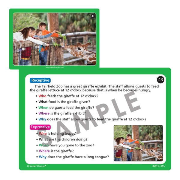 Webber Photo Cards WH Questions - Image 9